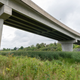 Illustration for article titled Pics from the Curbside: 2019-08-17 Near Collins Bay Pen